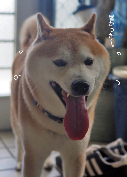13日ブログ３