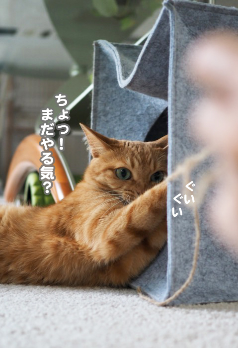24日夕ブログ８