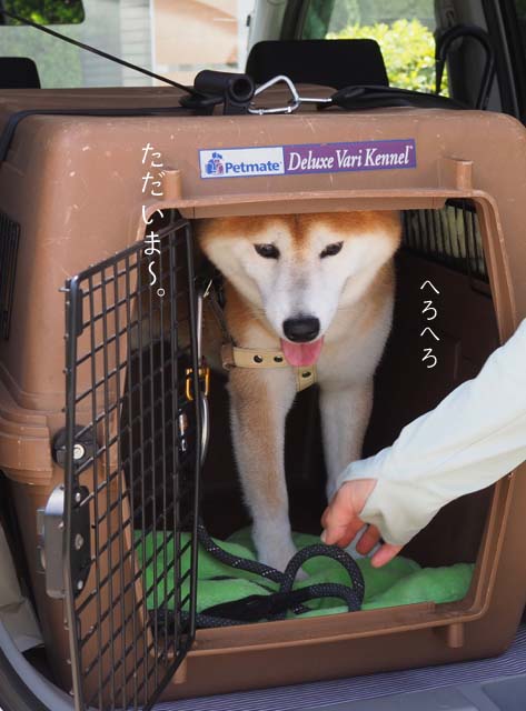 20日ブログ１５