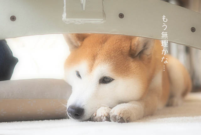20日ブログ5
