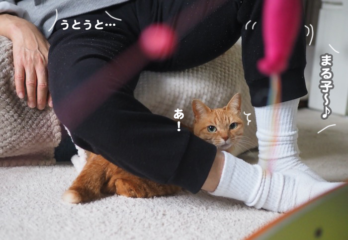 20日夕ブログ２