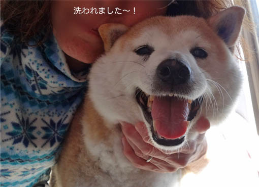 11日ブログ2.jpg