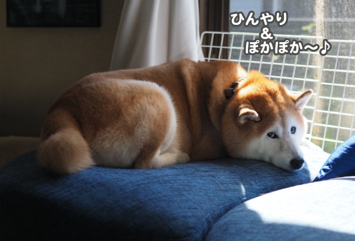 16日夕ブログ３