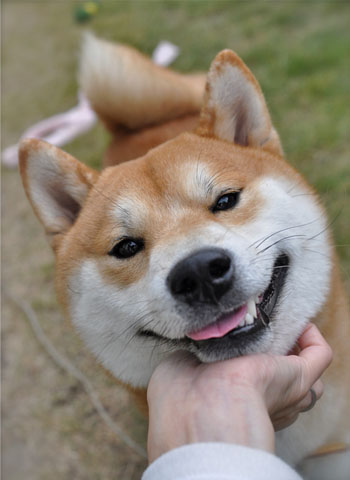 23日ブログ19.jpg