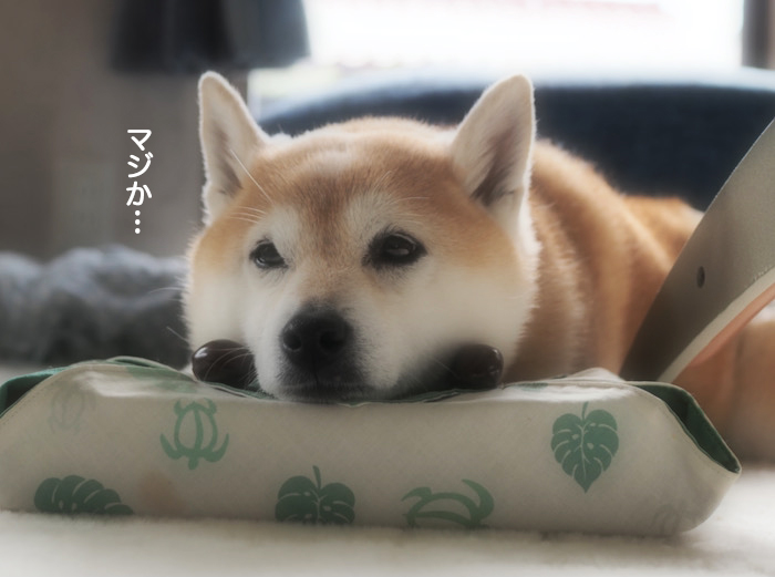 17日ブログ３