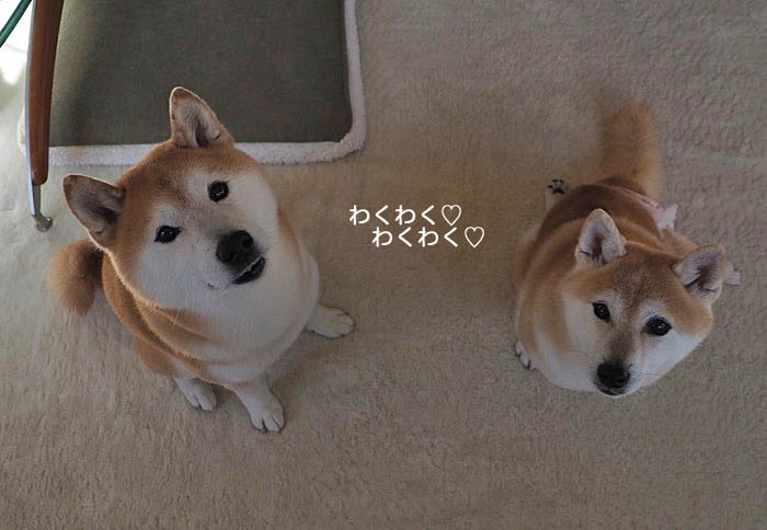 30日ブログ１２