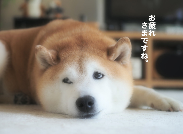 24日夕ブログ7
