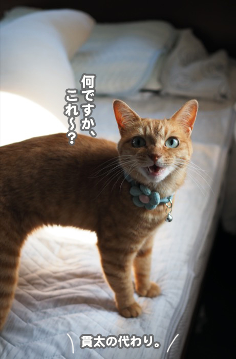 6日ブログ５