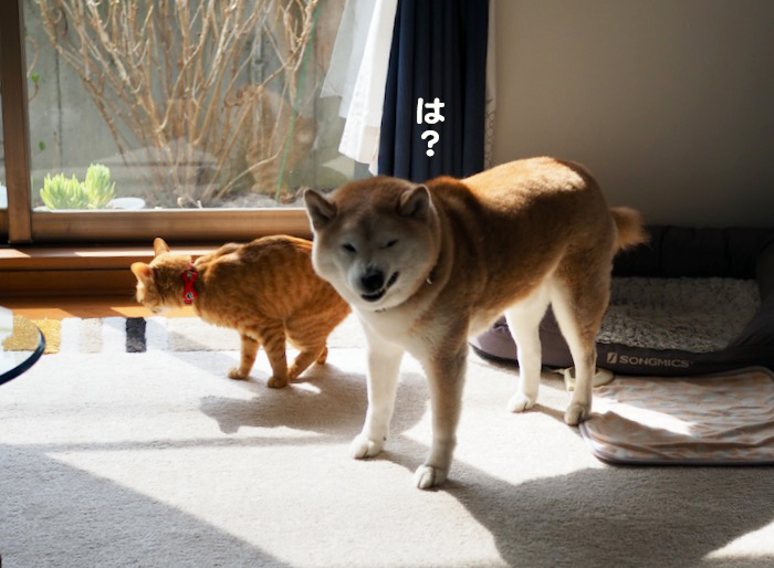 14日ブログ３
