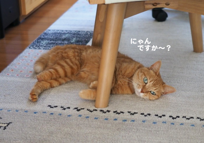 3日夕ブログ２