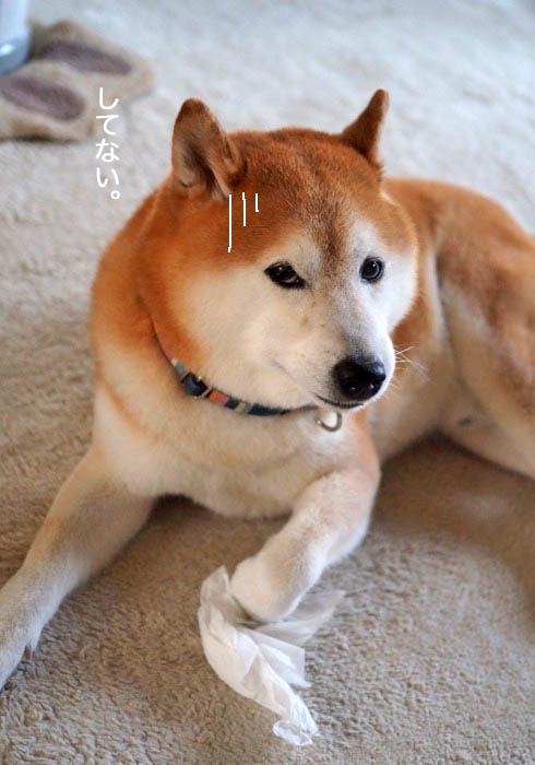 26日ブログ３