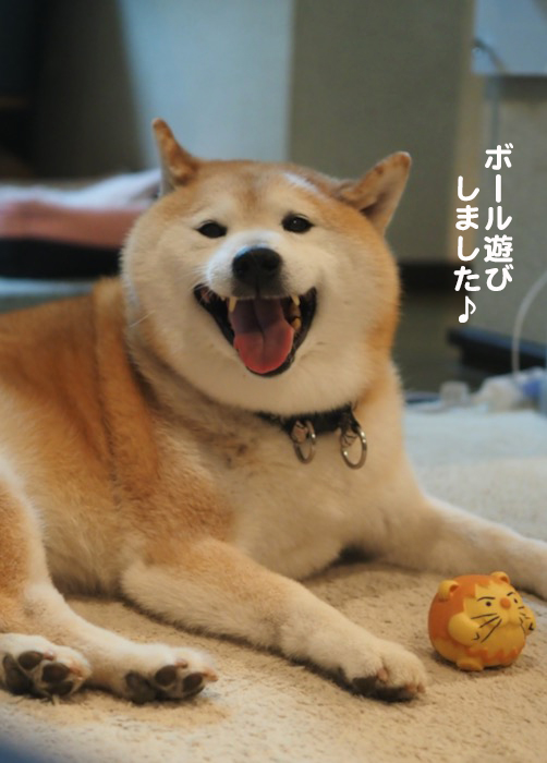 27日夕ブログ４