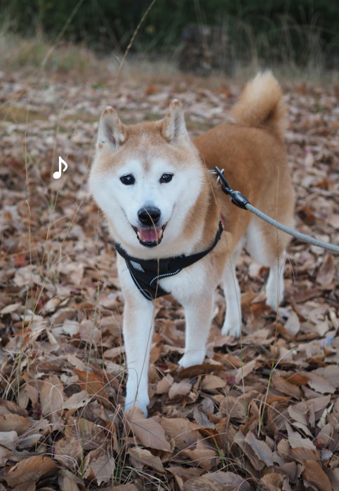 10日のブログ２