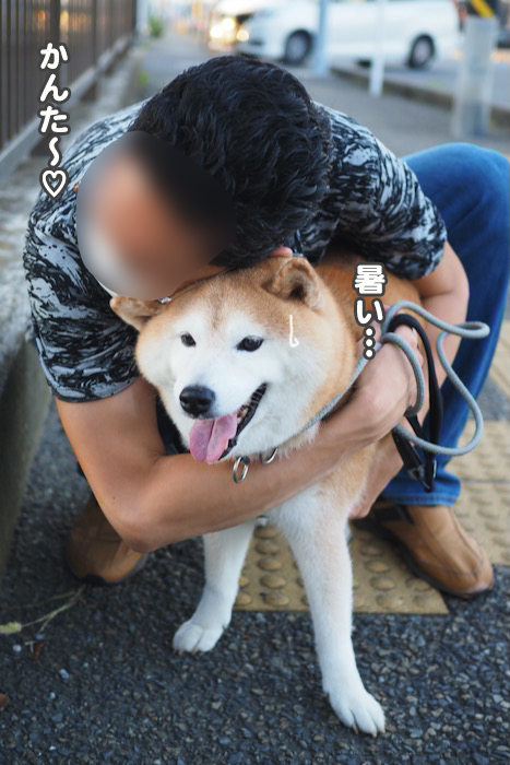 20日夕ブログ８