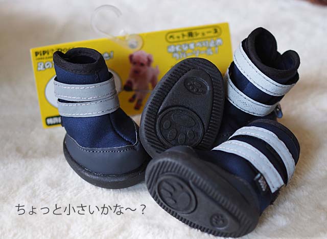 7日ブログ5