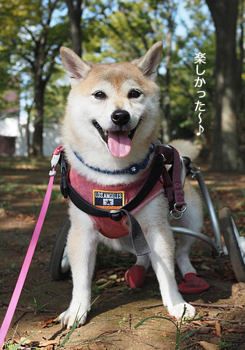 8日午後ブログ５