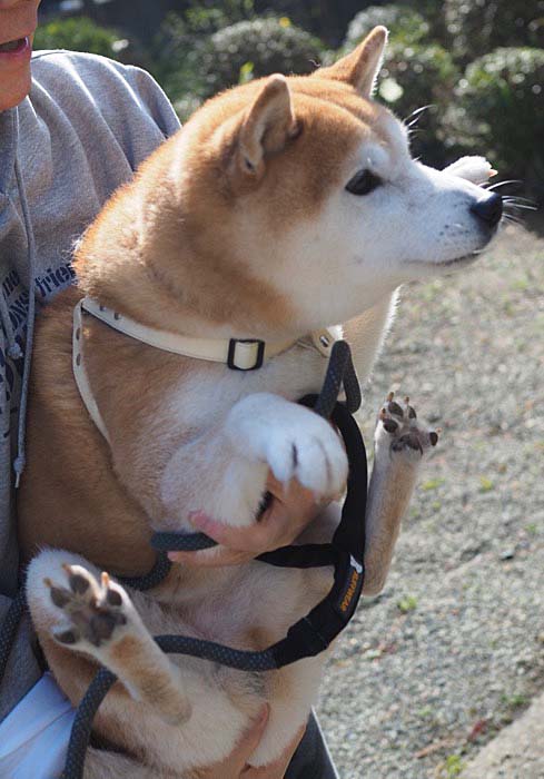 11日ブログ９