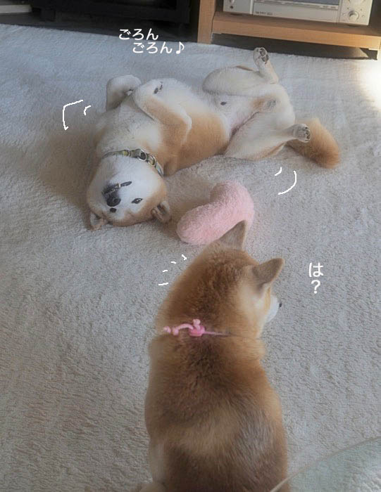 13日夜ブログ５