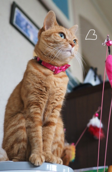 10日夕ブログ５