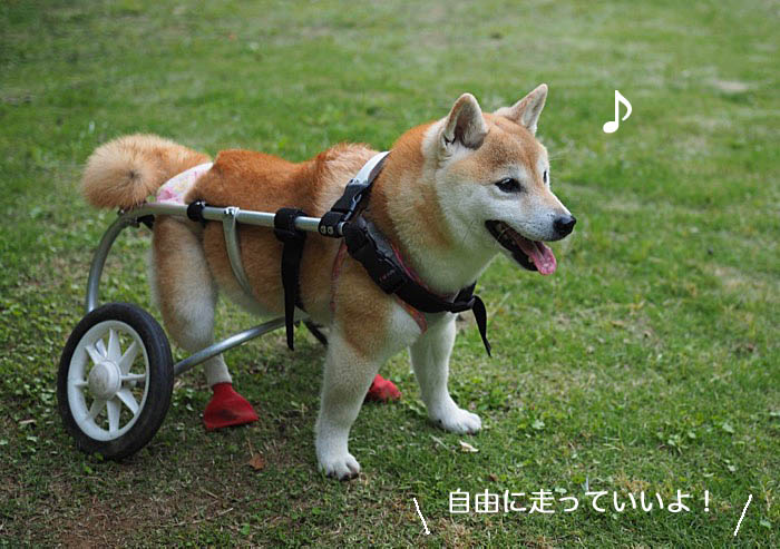 3日ブログ２