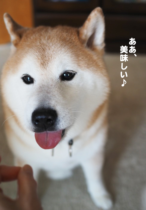 4日ブログ６