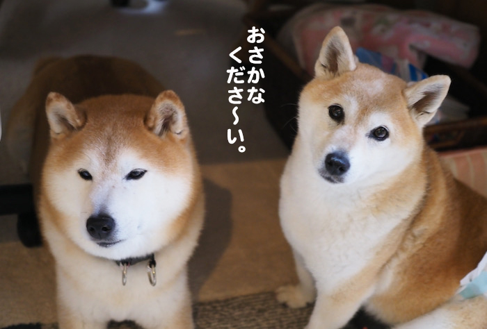 19日ブログ４
