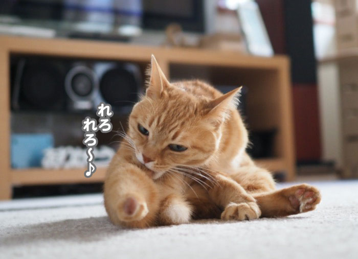9日夕ブログ３