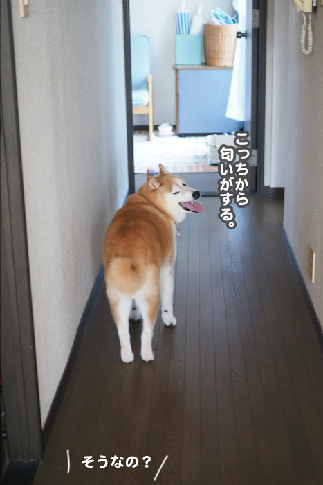 17日夕ブログ4