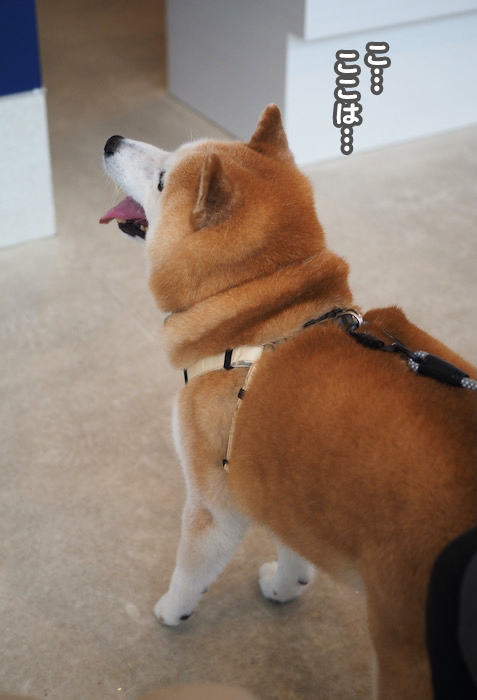 7日ブログ３