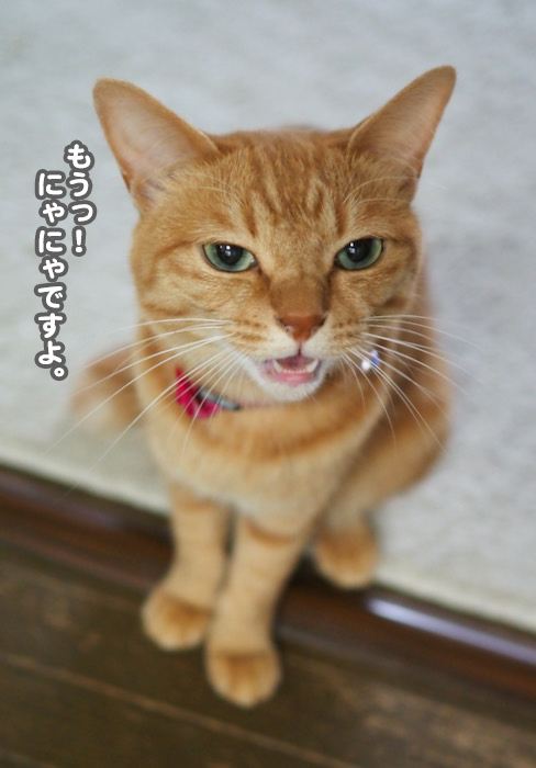 2日夕ブログ７