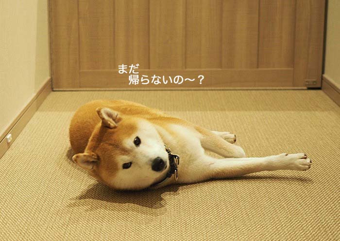 16日夜ブログ5