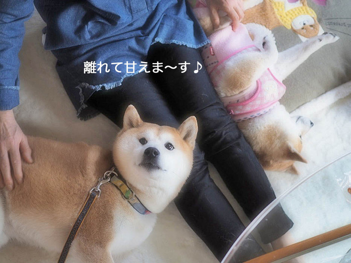 13日ブログ12