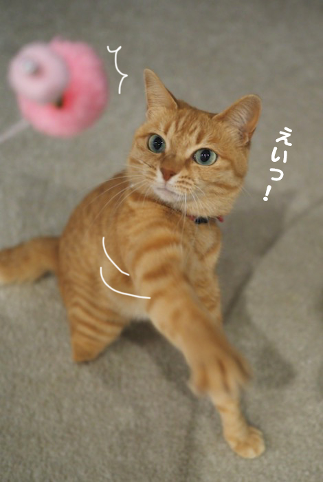 25日夕ブログ７