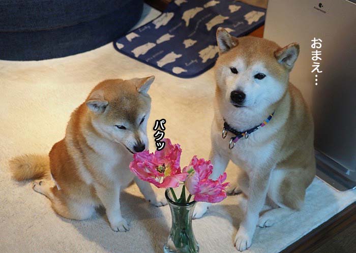 14日ブログ４