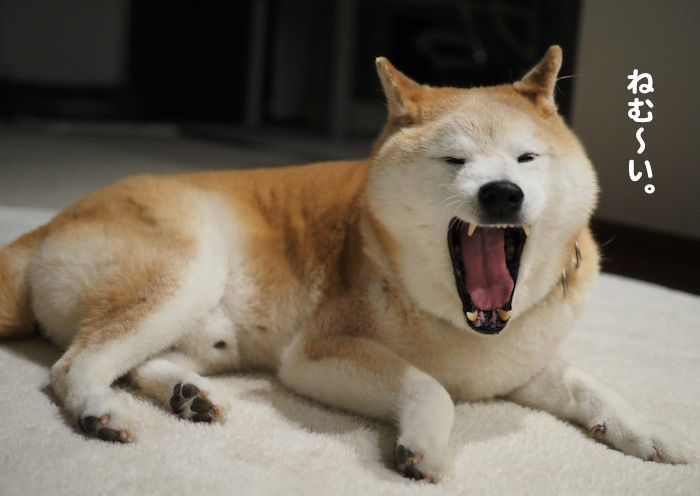 14日午前ブログ２