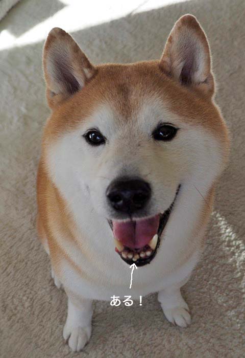 16日ブログ５
