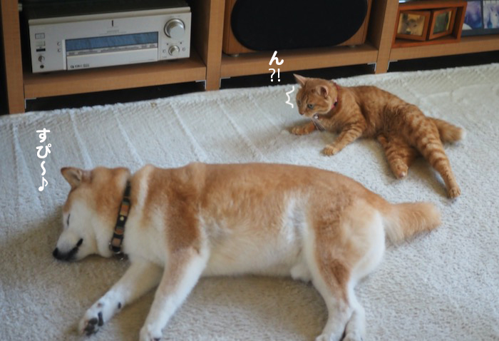 10日夕ブログ２