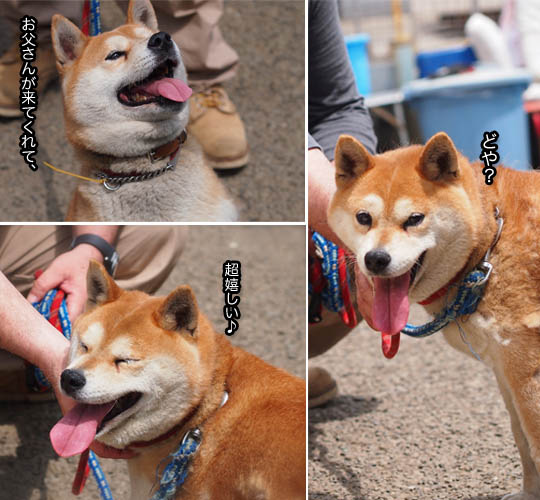 26日ブログ3.jpg