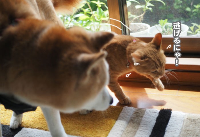 15日夕ブログ24