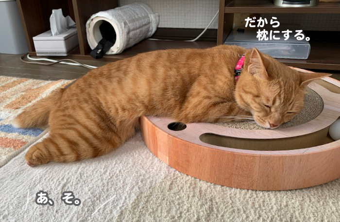 19日夕ブログ９
