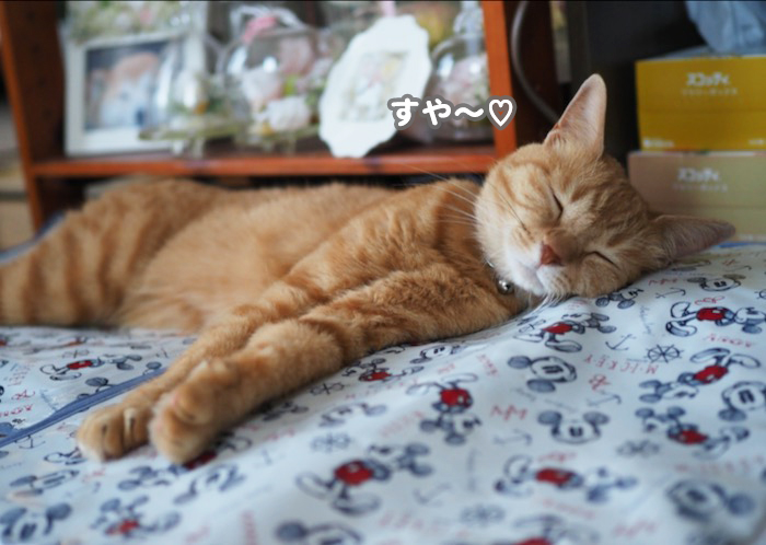 5日夕ブログ３