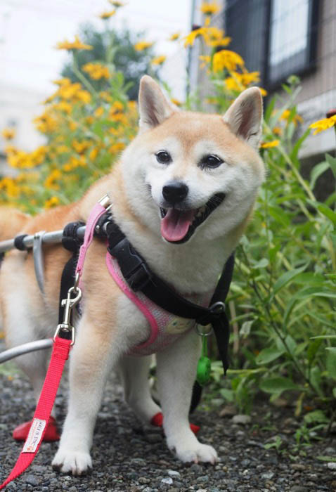 8日夕ブログ４
