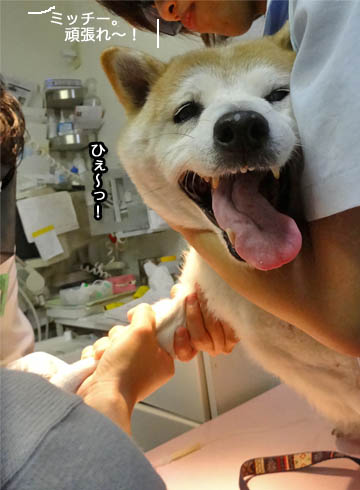 31日ブログ7.jpg