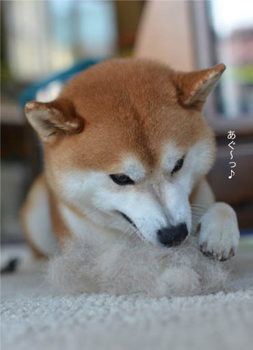 27日ブログ4.jpg
