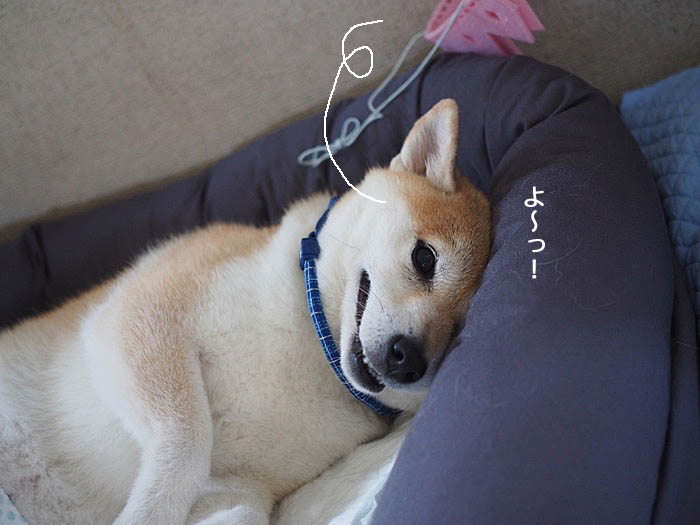 7日ブログ６