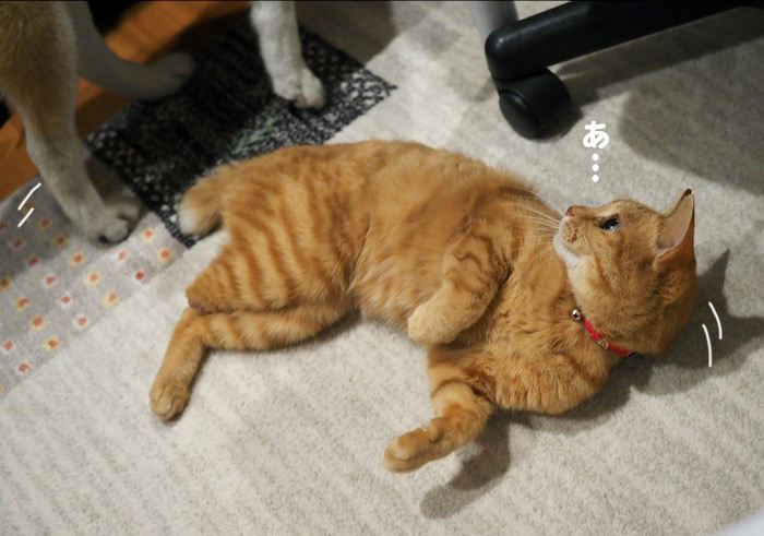 17日夕ブログ２