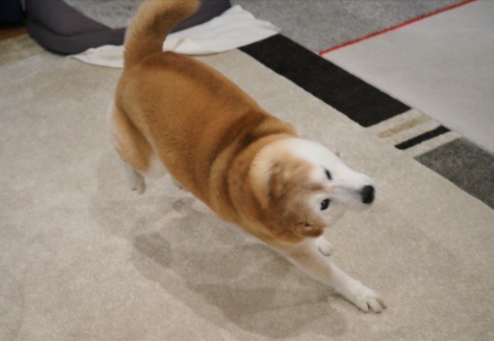 22日夕ブログ１３