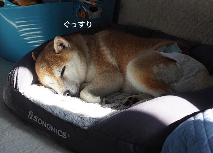 12日ブログ３
