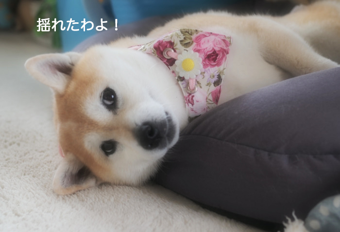 17日ブログ４