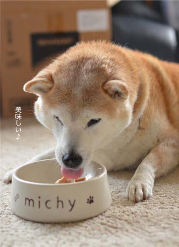 22日ブログ5.jpg